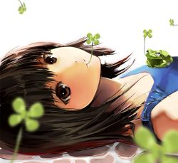 Rule 34 | 1girl, bad id, bad pixiv id, blurry, brown eyes, clover, depth of field, four-leaf clover, frog, lying, mouth hold, nauribon, original, solo