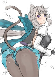 Rule 34 | 1girl, animal ears, ass, back, black capelet, black dress, black gloves, blush, bow, breasts, brown pantyhose, capelet, cat ears, cat girl, cat tail, collared dress, dress, genshin impact, gloves, green bow, green skirt, grey hair, long hair, looking at viewer, looking back, lynette (genshin impact), medium breasts, pantyhose, ponytail, purple eyes, sidelocks, sketch, skirt, solo, tail, thighs, tony taka, two-tone gloves, white gloves, white sleeves