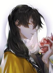 Rule 34 | 1boy, beads, black hair, circle, copyright request, eyelashes, flower, grey background, hair beads, hair ornament, hair over shoulder, hand up, highres, holding, holding flower, korean commentary, long hair, long sleeves, looking at viewer, lotus, male focus, muksal, parted lips, portrait, profile, robe, sideways glance, solo, yellow eyes, yellow robe