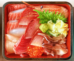 Rule 34 | bento, commentary, fish (food), food, food focus, ginger, ikura (food), lettuce, no humans, original, realistic, roe, sashimi, shrimp, tuna, wasabi, yasudagabou