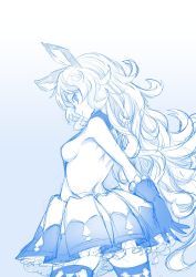 Rule 34 | 10s, 1girl, akino sora, animal ears, backless dress, backless outfit, blue theme, breasts, curly hair, dress, erune, ferry (granblue fantasy), frilled dress, frills, gloves, gradient background, granblue fantasy, highres, long hair, looking at viewer, looking back, monochrome, parted lips, pleated dress, profile, sideboob, sketch, skirt, small breasts, solo, thighhighs
