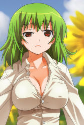 Rule 34 | 1girl, bad id, bad pixiv id, blue sky, blurry, breasts, cleavage, cloud, collarbone, covered erect nipples, day, depth of field, dress shirt, female focus, flower, frown, green hair, impossible clothes, impossible shirt, kazami yuuka, large breasts, outdoors, raised eyebrow, red eyes, shirt, sky, solo, sunflower, touhou, umekichi, unbuttoned, uneven eyes, upper body