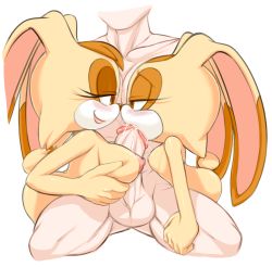 Rule 34 | 1boy, 2girls, blush, breasts, brown eyes, cream the rabbit, furry, incest, large breasts, marthedog, mature female, mother and daughter, multiple girls, penis, small breasts, sonic (series), third-party edit, vanilla the rabbit