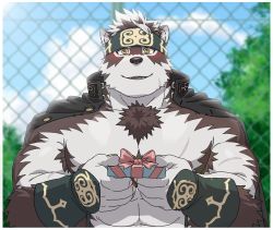 Rule 34 | 1boy, animal ears, bara, bare pectorals, blush, body hair, chest hair, furry, furry male, gift, grey fur, grey hair, headband, holding, holding gift, horkeu kamui, incoming gift, jacket, jacket on shoulders, large pectorals, looking at viewer, male focus, muscular, pectorals, revealing clothes, rossciaco, short hair, smile, solo, tail, tokyo houkago summoners, two-tone fur, upper body, vambraces, white fur, wolf boy, wolf ears, wolf tail, yellow eyes