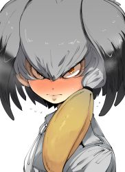 Rule 34 | 1girl, angry, bad id, bad pixiv id, blush, closed mouth, from side, full-face blush, grey hair, grey jacket, head wings, jacket, kemono friends, looking at viewer, looking to the side, multicolored hair, necktie, portrait, red eyes, sanpaku, shoebill (kemono friends), simple background, solo, takato kurosuke, upper body, white background, white necktie, wings, yellow eyes