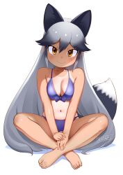 Rule 34 | 1girl, animal ears, bare arms, bare legs, bare shoulders, barefoot, bikini, black hair, blue bikini, breasts, cleavage, commentary, crossed ankles, extra ears, feet, fox ears, fox girl, fox tail, full body, gradient hair, grey hair, hair between eyes, highres, kemono friends, long hair, looking at viewer, masuyama ryou, medium breasts, multicolored hair, navel, orange eyes, silver fox (kemono friends), simple background, sitting, smile, solo, swimsuit, tail, tan, tanline, toes, v arms, very long hair, white background