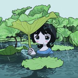 Rule 34 | 1girl, ahoge, black hair, blue background, blue eyes, blue sweater, blush, closed mouth, commentary, eli (chibitoad), english commentary, expressionless, highres, holding, holding leaf, leaf, lily pad, looking at viewer, medium hair, original, partially submerged, plant, plant on head, rain, simple background, solo, sweater, upper body, water, water drop