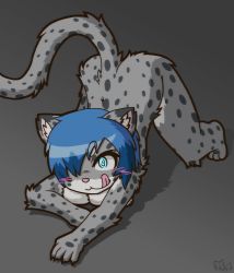Rule 34 | artist request, blue eyes, blue hair, furry, highres, nude, snow leopard, tongue