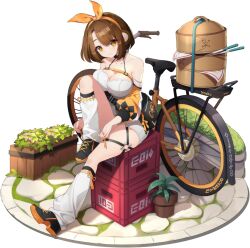 Rule 34 | 1girl, :3, animal ears, antenna hair, artist request, bag, bamboo steamer, bare shoulders, belt, bicycle, black choker, black footwear, breasts, brown eyes, brown hair, chest belt, choker, chopsticks, cleavage, clothing cutout, crate, detached sleeves, dress, eversoul, food, full body, game cg, hair ribbon, large breasts, looking at viewer, loose socks, monkey ears, monkey girl, monkey tail, non-web source, official alternate costume, official alternate hairstyle, official art, parted bangs, plant, potted plant, ribbon, shoulder bag, sitting, smile, socks, solo, tachi-e, tail, thigh strap, transparent background, tying footwear, underboob cutout, white dress, xiaolian (eversoul)