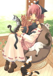 Rule 34 | 1girl, animal hat, bare shoulders, bell, black cat, blush, calico, cat, chair, collar, dress, full body, hairband, haruaki irumo, hat, irumo haruaki, jingle bell, long sleeves, original, pantyhose, red eyes, red hair, ribbon-trimmed clothes, ribbon-trimmed sleeves, ribbon trim, short hair, sitting, smile, solo, too many, too many cats, veranda, wooden floor
