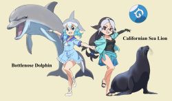 Rule 34 | 2girls, ball, beachball, black eyes, black footwear, black hair, black one-piece swimsuit, blowhole, blue choker, blue dress, blue eyes, blue hair, blue jacket, blue sailor collar, blue sarong, blue scrunchie, bracelet, california sea lion (kemono friends), cetacean tail, character name, choker, commentary request, common bottlenose dolphin (kemono friends), dolphin, dorsal fin, drawstring, dress, english text, fins, fish tail, frilled dress, frills, glasses, gradient hair, grey-framed eyewear, grey hair, hair ornament, hair scrunchie, highres, hood, hood down, hoodie, jacket, japari symbol, jewelry, kemono friends, kemono friends 2, long hair, looking at viewer, low-tied long hair, multicolored hair, multiple girls, name connection, navel, neckerchief, no socks, one-piece swimsuit, open clothes, open jacket, open mouth, outstretched arms, sailor collar, sailor dress, sandals, sarong, scrunchie, sea lion, semi-rimless eyewear, short dress, short hair, short sleeves, simple background, smile, spread arms, standing, standing on one leg, swimsuit, symmetrical pose, tail, under-rim eyewear, white footwear, white neckerchief, yamaguchi yoshimi, yellow background