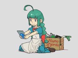 Rule 34 | 1girl, ahoge, apron, back bow, blue dress, bow, bowtie, box, braid, brown footwear, cardboard box, cd, cd case, dress, full body, green hair, grey background, holding, loafers, long hair, me-tan, os-tan, red bow, red bowtie, shima (landsuzume), shoes, short sleeves, sitting, smile, socks, solo, spring onion, wariza, white socks