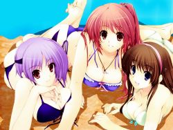 Rule 34 | 3girls, ass, ayane (doa), bikini, blue eyes, breasts, brown hair, butt crack, cleavage, dead or alive, frilled bikini, frills, front-tie top, hairband, hitomi (doa), iizuki tasuku, jewelry, kasumi (doa), large breasts, looking at viewer, lying, multiple girls, necklace, on stomach, pendant, purple hair, red eyes, red hair, side-tie bikini bottom, strap gap, swimsuit, tecmo