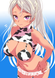 Rule 34 | 1girl, alternate costume, animal print, asava (hutaitenn), bikini, blue background, breasts, conte di cavour (kancolle), cow print, cowboy shot, gradient background, highres, kantai collection, large breasts, long hair, looking at viewer, navel, print bikini, purple eyes, shrug (clothing), sleeveless, smile, solo, standing, swimsuit, tan, very long hair, white background, white hair