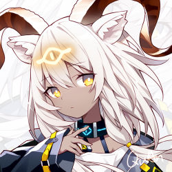 Rule 34 | 1girl, animal ears, arknights, beeswax (arknights), black collar, chinese commentary, collar, commentary request, dark-skinned female, dark skin, hair between eyes, head tilt, horns, long hair, long sleeves, looking at viewer, quan (kurisu tina), silver hair, solo, upper body, yellow eyes, zoom layer