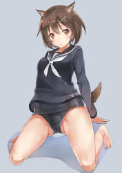 Rule 34 | 10s, 1girl, adosan, adosan (horaizon1211), ahoge, animal ear fluff, animal ears, barefoot, blush, brave witches, breasts, brown eyes, brown hair, cameltoe, full body, grey background, hair ornament, hairclip, karibuchi hikari, kneeling, looking at viewer, matching hair/eyes, medium breasts, old school swimsuit, one-piece swimsuit, school swimsuit, school uniform, see-through, serafuku, shiny skin, short hair, simple background, smile, solo, spread legs, squirrel ears, squirrel tail, strike witches, swimsuit, swimsuit under clothes, tail, world witches series