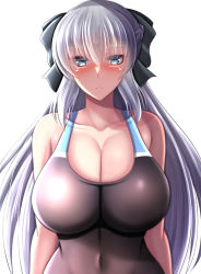 Rule 34 | 1girl, absurdres, black bow, black one-piece swimsuit, blue one-piece swimsuit, bow, braid, breasts, collarbone, competition swimsuit, covered navel, fate/grand order, fate (series), french braid, grey eyes, grey hair, hair between eyes, hair bow, highres, kanna (minamozuki), large breasts, long hair, morgan le fay (fate), multicolored clothes, multicolored swimsuit, one-piece swimsuit, solo, swimsuit, upper body