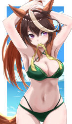 Rule 34 | 1girl, absurdres, adjusting hair, alternate costume, alternate hairstyle, animal ears, armpits, arms up, bare shoulders, bikini, blue sky, border, breasts, brown eyes, cloud, cloudy sky, commentary request, cowboy shot, criss-cross halter, green bikini, hair between eyes, halterneck, highres, horse ears, horse girl, horse tail, large breasts, long hair, moriaka, mouth hold, multicolored hair, navel, ocean, outdoors, partial commentary, ponytail, purple eyes, sky, solo, streaked hair, swimsuit, symboli rudolf (umamusume), tail, umamusume, water, white border, white hair