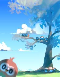 Rule 34 | bagutyu, bird, black eyes, blurry, blurry foreground, cloud, creatures (company), day, closed eyes, game freak, gen 7 pokemon, grass, highres, lying, nintendo, no humans, outdoors, pokemon, pokemon (creature), rowlet, sky, sleeping, symbol-only commentary, tree