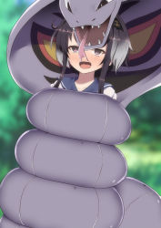 Rule 34 | 1girl, @ @, arbok, ashino moto, black hair, blue sailor collar, blurry, blurry background, blush, commission, constriction, creatures (company), crossover, empty eyes, fangs, game freak, gen 1 pokemon, gradient hair, grey hair, highres, hypnosis, kantai collection, mind control, multicolored hair, nintendo, nose blush, open mouth, pokemon, pokemon (creature), sailor collar, school uniform, short hair with long locks, skeb commission, tokitsukaze (kancolle), tongue