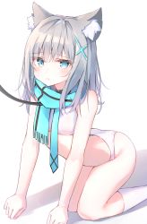 Rule 34 | all fours, animal ear fluff, animal ears, bad id, bad pixiv id, bare arms, bare shoulders, beliatan, blue archive, blue eyes, blue necktie, blue scarf, blush, bra, cat ears, closed mouth, cross hair ornament, embarrassed, frown, grey hair, hair between eyes, hair ornament, highres, leash, long hair, looking at viewer, mismatched pupils, necktie, panties, scarf, shadow, shiroko (blue archive), simple background, socks, solo, striped clothes, striped scarf, underwear, white background, white bra, white panties, white socks