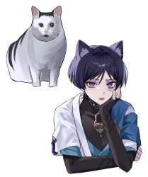 Rule 34 | 1boy, absurdres, animal ear fluff, animal ears, black shirt, blue cape, bridal gauntlets, cape, cat, cat ears, choppy bangs, commentary request, covered collarbone, eyeshadow, fang, genshin impact, hair between eyes, hand up, head rest, highres, huh? cat (meme), jacket, looking at viewer, makeup, male focus, meme, open clothes, open jacket, open mouth, parted bangs, purple eyes, purple hair, red eyeshadow, scaramouche (genshin impact), shirt, short hair, sidelocks, simple background, sleeveless, sleeveless shirt, solo, teeth, upper body, wanderer (genshin impact), white background, white jacket, woooi