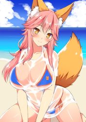 Rule 34 | 10s, 1girl, animal ears, bad id, bad twitter id, bikini, blue bikini, blush, breasts, cleavage, collarbone, day, fate/extra, fate/grand order, fate (series), fox ears, fox tail, kisaragi nana, large breasts, long hair, looking at viewer, ocean, outdoors, pink hair, shirt, side-tie bikini bottom, solo, swimsuit, tail, tamamo (fate), tamamo no mae (fate/extra), tamamo no mae (swimsuit lancer) (fate), tamamo no mae (swimsuit lancer) (second ascension) (fate), wet, wet clothes, wet shirt, yellow eyes