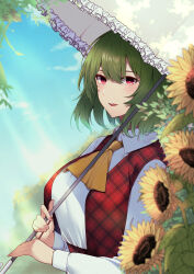 Rule 34 | 1girl, absurdres, ascot, blush, breasts, collared shirt, day, flower, green hair, hair between eyes, highres, holding, holding umbrella, kazami yuuka, keenii (kenny86), large breasts, long sleeves, open mouth, outdoors, plaid, plaid vest, red eyes, red vest, shirt, short hair, smile, solo, sunflower, touhou, umbrella, upper body, vest, white shirt, yellow ascot, yellow flower