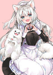 Rule 34 | 1girl, :d, animal ear fluff, animal ears, apron, black choker, black dress, blue eyes, blush, bow, breasts, choker, collared dress, commentary request, dog ears, dog girl, dog tail, dress, fang, frilled apron, frills, grey bow, hair between eyes, hair bow, hands up, head tilt, heart, heart hands, heart in heart hands, highres, looking at viewer, maid, maid apron, maid headdress, medium breasts, mito (go!go!king!), open mouth, original, pink background, pomeranian (dog), ponytail, simple background, smile, solo, tail, white apron