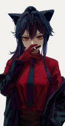 Rule 34 | 1girl, absurdres, animal ears, arknights, black hair, black necktie, cigarette, collared shirt, gloves, hair between eyes, hand up, highres, jacket, long hair, looking at viewer, necktie, open clothes, open jacket, orange eyes, ponytail, red gloves, red shirt, shirt, sidelocks, simple background, slit pupils, smoking, solo, texas (arknights), texas (willpower) (arknights), upper body, white background, wolf ears, wolf girl, yoon cook