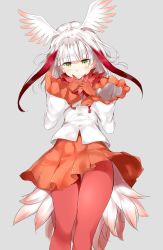 10s 1girl absurdres aoi_takeru blunt_bangs blush closed_mouth female_focus frilled_sleeves frills grey_background head_tilt head_wings highres japanese_crested_ibis_(kemono_friends) kemono_friends long_hair long_sleeves looking_at_viewer multicolored_hair orange_skirt own_hands_together pantyhose pleated_skirt red_hair red_pantyhose shirt simple_background sketch skirt smile solo thigh_gap two-tone_hair white_hair white_shirt wide_sleeves wings yellow_eyes