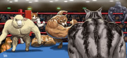 Rule 34 | action, animal, animal focus, bird, blurry, blurry background, cat, closed eyes, crossed arms, crow, crowd, dog, flexing, fox, furry, matataku, meme, motion blur, muscle fox, muscular, personification, photo-referenced, punching, right-hook dog, sheep, shiba inu, sweat, sweatdrop, twitter, wrestling ring
