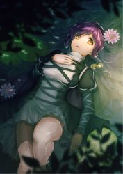 Rule 34 | 1girl, afloat, black coat, brown hair, chloro phill, coat, cowboy shot, cross-laced clothes, dress, flower, frilled dress, frills, from above, gradient hair, hand on own chest, highres, hijiri byakuren, juliet sleeves, knee up, lily pad, long hair, long sleeves, looking at viewer, multicolored hair, parted lips, partially submerged, pink flower, puffy sleeves, purple hair, solo, touhou, turtleneck, water, wet, white dress, yellow eyes