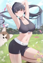 Rule 34 | 1girl, absurdres, armpits, arms behind head, arms up, bike shorts, black hair, black shorts, blue sky, blunt bangs, blush, boku no kokoro no yabai yatsu, breasts, brown eyes, building, cleavage, cloud, commentary request, cowboy shot, dog, highres, large breasts, long hair, long sleeves, looking at viewer, midriff, navel, outdoors, parted lips, pharmarr, ponytail, presenting armpit, shorts, sky, sports bra, standing, standing on one leg, yamada anna