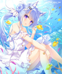 Rule 34 | 1girl, air bubble, ameto yuki, animal, animal ear fluff, animal ears, artist name, bare shoulders, blue hair, breasts, bubble, commentary request, coral, day, double bun, doughnut hair bun, dress, fish, fox ears, hair bun, hair ornament, hair ribbon, hand up, highres, knees up, long hair, looking at viewer, medium breasts, off-shoulder dress, off shoulder, original, outdoors, parted lips, purple eyes, ribbon, solo, starfish hair ornament, twintails, underwater, very long hair, white dress, white ribbon