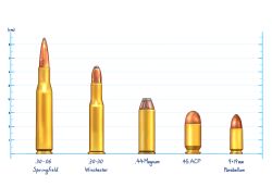 Rule 34 | .30-06 springfield, .30-30 winchester, .44 magnum, .45 acp, 9x19mm parabellum, ammunition, ammunition focus, ammunition profile, bullet, carbine cartridge, full-power cartridge, handgun cartridge, lmg cartridge, magnum cartridge, military cartridge, no humans, ns hata, original, pistol cartridge, revolver cartridge, rifle cartridge, size chart, size comparison, size difference