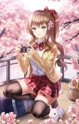 Rule 34 | 1girl, :d, absurdres, bag, baguette, black thighhighs, blurry, blurry background, bnari, bow, bowtie, bread, brown hair, buttons, camera, cherry blossoms, depth of field, flower, food, green eyes, hair bow, hair flower, hair ornament, highres, holding, holding camera, jacket, long sleeves, looking at viewer, mole, mole on thigh, nail polish, on one knee, open mouth, original, petals, pink nails, plaid, plaid skirt, pleated skirt, ponytail, rabbit, red bow, red bowtie, red skirt, school uniform, shirt, sidelocks, skirt, smile, solo, striped bow, striped bowtie, striped clothes, thighhighs, white shirt, yellow jacket, zettai ryouiki