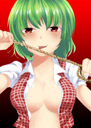 Rule 34 | 1girl, :p, bad id, bad pixiv id, breasts, cleavage, curry man, face, female focus, green hair, kazami yuuka, large breasts, licking, no bra, open clothes, open shirt, red eyes, rope, shiny skin, shirt, short hair, solo, tongue, tongue out, touhou