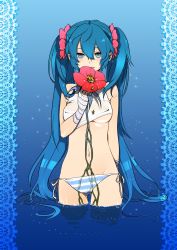 Rule 34 | 00s, 1girl, absurdres, bandages, blue eyes, blue hair, blush, breasts, covered erect nipples, flower, hair flower, hair ornament, hatsune miku, highres, kurono yuu, long hair, matching hair/eyes, mouth hold, navel, no bra, panties, side-tie panties, solo, sparkle, standing, striped clothes, striped panties, twintails, underboob, underwear, very long hair, vocaloid, wading, water