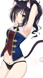 Rule 34 | 1girl, animal ear fluff, animal ears, armpits, arms behind head, arms up, black hair, black panties, blush, breasts, brooch, cat ears, cat girl, cat tail, closed mouth, cowboy shot, gem, green eyes, highres, jewelry, karyl (princess connect!), kavies, long hair, looking at viewer, md5 mismatch, multicolored clothes, multicolored hair, navel, panties, ponytail, princess connect!, red gemstone, resolution mismatch, simple background, small breasts, solo, source smaller, streaked hair, tail, thighs, underwear, v-shaped eyebrows, white background, white hair