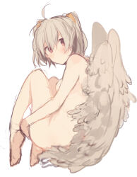 Rule 34 | 1girl, bad id, bad pixiv id, blush, closed mouth, feathered wings, grey hair, hair between eyes, ikeuchi tanuma, looking at viewer, neon genesis evangelion, neon genesis evangelion gakuen datenroku, nude, red eyes, short hair, short twintails, simple background, solo, tabris-xx, twintails, white background, wings