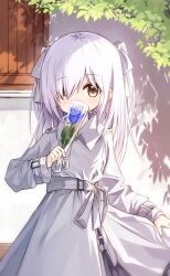 Rule 34 | 1girl, blue flower, blue rose, bow, collared dress, commentary request, covered mouth, dress, flower, hair bow, hair over one eye, holding, long hair, long sleeves, looking at viewer, original, rose, sleeves past wrists, solo, two side up, white bow, white dress, white hair, yuuhagi (amaretto-no-natsu)