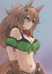 Rule 34 | 1girl, absurdres, animal ears, armband, bandeau, bare shoulders, bikini, bikini under clothes, blue eyes, breasts, brown hair, cleavage, commentary, detached sleeves, front-tie top, green armband, grey background, hair between eyes, hair ornament, highres, horse ears, large breasts, long hair, midriff, mouth hold, navel, ootato, puffy short sleeves, puffy sleeves, short sleeves, solo, stalk in mouth, star (symbol), star hair ornament, stomach, strapless, swimsuit, taiki shuttle (umamusume), tube top, umamusume, upper body