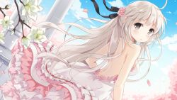 Rule 34 | 1girl, absurdres, backless dress, backless outfit, bare back, bare shoulders, blurry, cherry blossoms, day, depth of field, dress, dutch angle, expressionless, flower, frills, grey eyes, hair flower, hair ornament, hair ribbon, highres, kasugano sora, layered dress, long hair, looking at viewer, looking back, nyanya, open mouth, petals, pillar, ribbon, silver hair, sky, solo, very long hair, wallpaper, wind, yosuga no sora