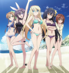 Rule 34 | 10s, 5girls, 8-bit (company), absolute duo, animal ears, arm up, armpits, arms behind back, barefoot, beach, bikini, blonde hair, blue eyes, blue hair, breasts, brown hair, cleavage, crossed arms, detached collar, fake animal ears, feet, green eyes, hair ribbon, hand on own hip, highres, hotaka miyabi, large breasts, lilith bristol, long hair, midriff, multiple girls, nagakura imari, navel, one-piece swimsuit, one eye closed, open mouth, orange eyes, outdoors, playboy bunny, ponytail, purple eyes, purple hair, rabbit ears, ribbon, sand, screencap, sideboob, standing, standing on one leg, stitched, sweater, swimsuit, tachibana tomoe (absolute duo), thighs, third-party edit, tsukimi rito, water