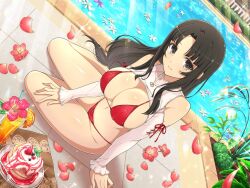 Rule 34 | 1girl, bikini, blueberry, breasts, brown eyes, brown hair, cake, cleavage, clothing cutout, crossover, day, falling petals, flower, flower in drink, food, frilled sleeves, frills, fruit, glass, hibiscus, juice, large breasts, long hair, looking at viewer, official alternate costume, official art, orange (fruit), orange juice, orange slice, outdoors, petals, plant, poolside, queen&#039;s blade, red bikini, red flower, senran kagura, senran kagura new link, shoulder cutout, shrug (clothing), sitting, solo, strawberry, swimsuit, tile floor, tiles, tomoe (queen&#039;s blade), water