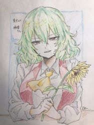 Rule 34 | ascot, flower, green hair, highres, holding, holding flower, kazami yuuka, looking at viewer, ppps, red eyes, red vest, shirt, sketch, solo, sunflower, touhou, upper body, vest, white shirt, yellow ascot