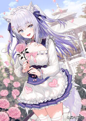 Rule 34 | 1girl, :d, animal ear fluff, animal ears, apron, blue eyes, blue skirt, breasts, cleavage, commentary request, flower, frilled apron, frilled skirt, frills, grey hair, hair between eyes, highres, holding, holding flower, long hair, long sleeves, looking at viewer, medium breasts, multicolored hair, noripro, open mouth, petals, pink flower, pink rose, pleated skirt, puffy long sleeves, puffy sleeves, purple hair, rose, shirayuki mishiro, skirt, sleeves past wrists, smile, solo, standing, tail, thighhighs, two-tone hair, two side up, very long hair, virtual youtuber, white apron, white thighhighs, yadapot