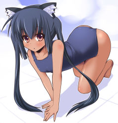 Rule 34 | all fours, animal ears, barefoot, black hair, brown eyes, cat ears, k-on!, long hair, nakano azusa, one-piece swimsuit, school swimsuit, shinshin, solo, swimsuit, tan, twintails