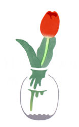 Rule 34 | artist name, blending, chromatic aberration, flower, hirasawa minami, leaf, no humans, no lineart, original, partially immersed, red flower, red tulip, refraction, simple background, still life, transparent, tulip, vase, water, white background